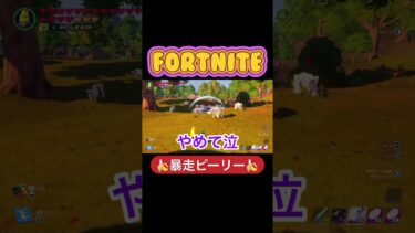 🍌暴走ピーリー🍌#フォートナイト #ゲーム実況