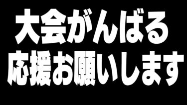 上位目指してFNCSカップ六花組デュオがんばります【フォートナイト】