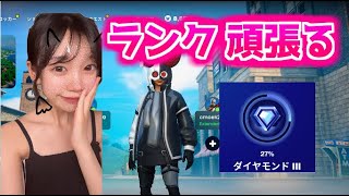 夏休み配信🌻【FORTNITE/フォートナイト】