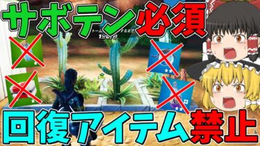 【フォートナイト】回復アイテム禁止縛りに挑戦！はたしてビクロイできるのか！？【ゆっくり実況】