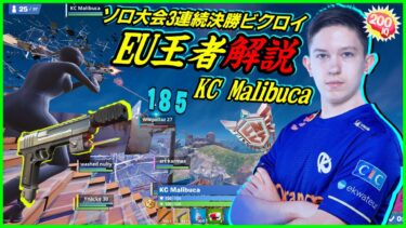 【これがEU王者Malibuca】ソロ決勝で常に賞金獲得!!神エイム連発と安定力あるプレイを解説します【フォートナイト】