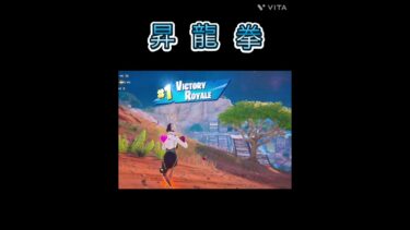 昇竜拳#フォートナイト #fortnite #たなべぶちょー #ゲーム実況 #おもしろ #ビクトリーロイヤル #ビクロイ #スト6やってるところ見た事ない#チャンネル登録お願いします #フレンド募集