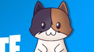 【保護猫応援VTuber】【参加型フォートナイト】雷💦ヤバすぎーーー！！男性保育士!猫メガネのゲーム配信！ゆっくりしてってね^^