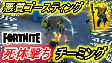 【害悪】チーミングのゴースティングがヤバすぎた。【フォートナイト/Fortnite】