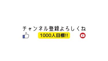 参加型配信ゼロビルドフォートナイトやる😀 #女性実況 #ライブ配信 #PS5