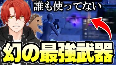 誰も使ってない！？幻の最強武器を皆さんに紹介します！【フォートナイト/Fortnite】