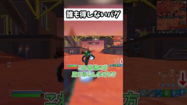 誰も得しない謎のバグがヤバイwww#shorts #フォートナイト #ゲーム実況 【フォートナイト/Fortnite】