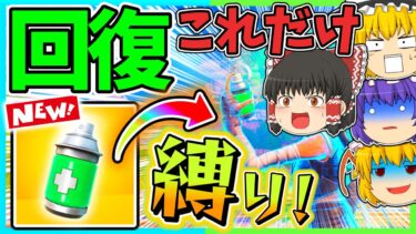 【シールドなし!?】回復が”ミスト”だけ縛りで20キル超えビクロイを目指せ！！【フォートナイト】【ゆっくり実況】