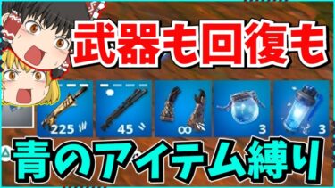 【フォートナイト】使って良いのは「青のアイテム」だけ！！体力が回復できなくて難しい？！でも青色って涼しくていいよね【ゆっくり実況/fortnite/フォトナ/ふぉとな】