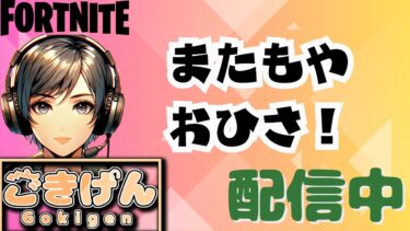 [LIVE.288]独り言が多いおばさんです【FORTNITE】