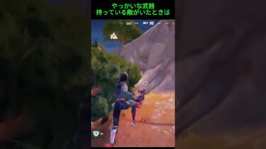 【フォートナイト】ヤバイ武器持ってる人いたら、逃げろ！！(前シーズン)　#フォートナイト