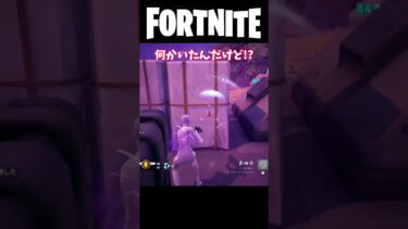 【Fortnite/フォートナイト】ソロ大会のこれやめて欲しい… #ゆっくり実況 #fortnite #shorts