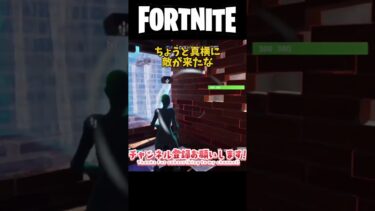 【Fortnite/フォートナイト】Chapter4のレイトゲーム！ #fortnite #ゆっくり実況 #shorts