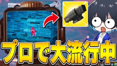 プロで今流行ってる拡張知ってる？【フォートナイト/Fortnite】