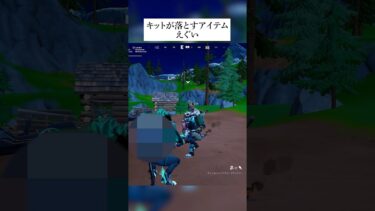 キットがたまに落とすこのアイテムやばすぎる… #フォートナイト #fortnite #小技 #小ネタ