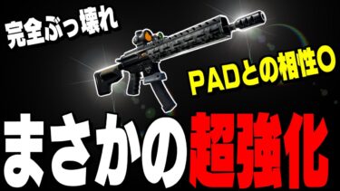 【ぶっ壊れ】秘密のアプデであの〇ミ武器がガチで最強になりました【フォートナイト/Fortnite】