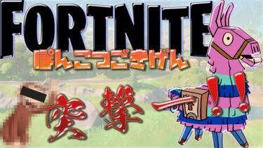 [LIVE.328]いや寒いって【FORTNITE】