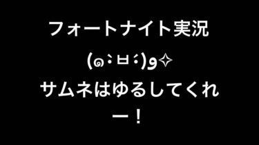 フォートナイト実況(๑•̀ㅂ•́)و✧👍⚔️