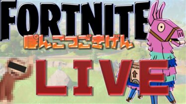 [LIVE.348]メリクリー【FORTNITE】