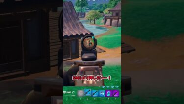 『フォートナイト』スコープ付きSMG縛りでビクロイチャレンジ!! #ゆっくり実況 #fortnite #フォートナイト #ゆっくり実況プレイ