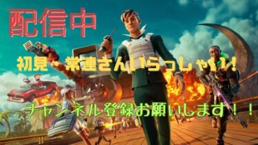 【特攻チリペッパー】フォートナイト実況配信