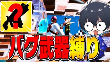 “バグ”で最強武器が一丁だけに入るらしい【フォートナイト/Fortnite】