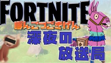 [LIVE.342]深夜の放送局つって【FORTNITE】