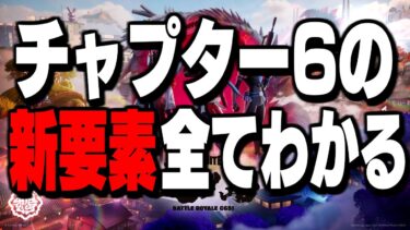 【絶対見とけ】新シーズン追加される新設定＆新要素がヤバすぎる!【フォートナイト/Fortnite】