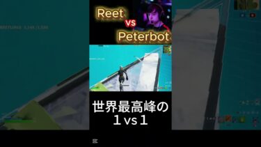 世界王者PeterbotとPad最強Reetの１vs１がヤバすぎる！！【Fortnite】【フォートナイト】