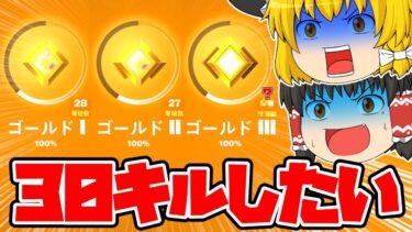 ランク昇格戦で30キルチャレンジ！ソロリロードで30キル超え&ビクロイを目指せ！！【フォートナイト】【ゆっくり実況】