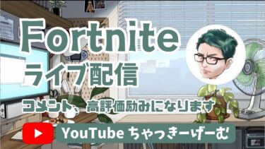 【Fortnite】隠された性能がヤバすぎる！『レールガン検証』フォートナイト/ゼロビルド