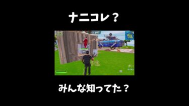 やばいｗｗナニコレ！？【フォートナイト/Fortnite】#shorts #フォートナイト #fortnite