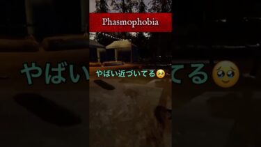 ハント回避に精一杯…👻📓成長日記📓【Phasmophobia ps5版UNAGI_ch】#ゲーム実況 #ゲーム配信 #女実況者 #ファスモフォビア #phasmophobia