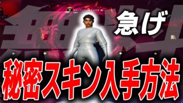 【急げ!!】誰でも無料で使える”秘密スキン”がヤバすぎるので紹介します！！【フォートナイト/FORTNITE】【フォートナイト実況】【フォートナイト】【未販売スキン】【バグ/裏技】【無料スキン】