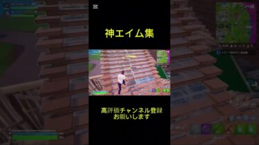 まじでサブマエイムがやばい #フォートナイト配信中 #フォートナイト #song #fortnite #フォトナ配信者 #ジャイロ勢 #リロードランク #バズれ #リロード