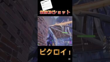 SEIKINショットビクロイ！ #ゲーム実況 #フォートナイト #面白い #game #fortnite